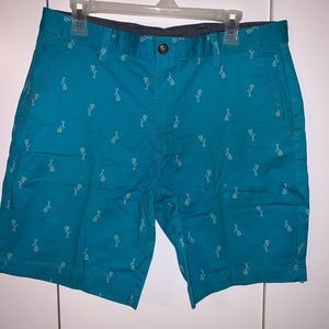 Men’s Size 34 Teal Blue Pelican Flat Front Shorts